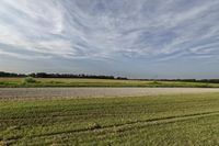 two large grain bins sit in the center of a field, surrounded by silos