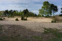 a dirt field surrounded by small shrubs and trees on a blue cloudy day, with no leaves on trees