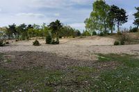 a dirt field surrounded by small shrubs and trees on a blue cloudy day, with no leaves on trees