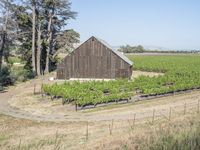 Rural Landscape in California, USA