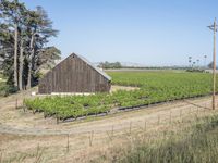 Rural Landscape in California, USA