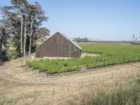 Rural Landscape in California, USA