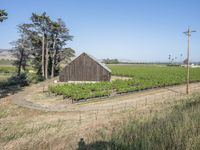 Rural Landscape in California, USA