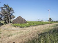 Rural Landscape in California, USA