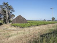 Rural Landscape in California, USA