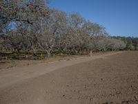 Rural Landscape in California: Enjoying a Day in Nature