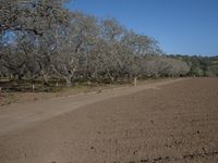 Rural Landscape in California: Enjoying a Day in Nature