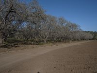 Rural Landscape in California: Enjoying a Day in Nature