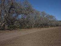 Rural Landscape in California: Enjoying a Day in Nature