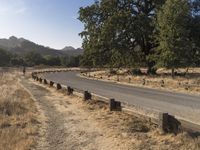 Rural Landscape in California during the Day