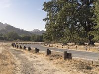 Rural Landscape in California during the Day