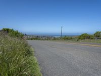 Rural Landscape in California: A Scenic Road Surrounded by Nature