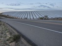 Rural Landscape: California Road House Nature 004