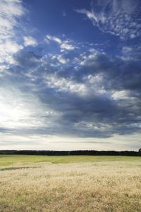 Rural Landscape in Canada: Dawn in the Field