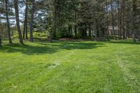 Rural Landscape in Canada: Serene Green Grass