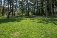 Rural Landscape in Canada: Serene Green Grass