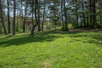 Rural Landscape in Canada: Serene Green Grass