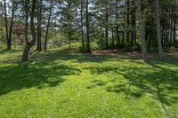 Rural Landscape in Canada: Serene Green Grass