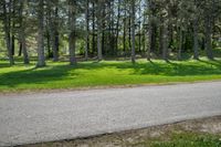 Rural Landscape in Canada: Lush Greenery