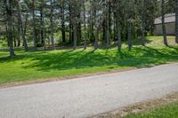 Rural Landscape in Canada: Lush Greenery