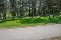 Rural Landscape in Canada: Lush Greenery