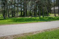 Rural Landscape in Canada: Lush Greenery