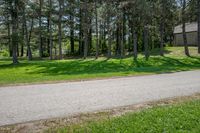 Rural Landscape in Canada: Lush Greenery