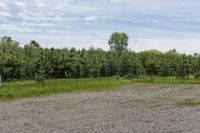 Rural Landscape in Canada, Ontario