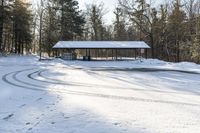 Rural Landscape in Canada: Snow Covered Tree