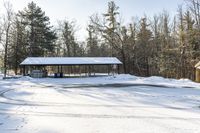 Rural Landscape in Canada: Snow Covered Tree