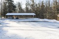 Rural Landscape in Canada: Snow Covered Tree