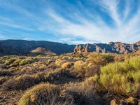 Rural Landscape of the Canary Islands: A Vast and Serene Plain