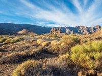 Rural Landscape of the Canary Islands: A Vast and Serene Plain