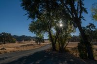 the sun shines through some trees on a rural road at dusk time by a dry grass field