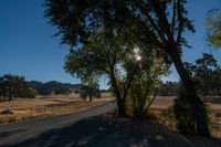 the sun shines through some trees on a rural road at dusk time by a dry grass field