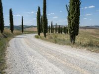 Rural Landscape with Clear Sky in Italy