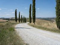 Rural Landscape with Clear Sky in Italy