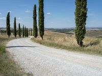 Rural Landscape with Clear Sky in Italy