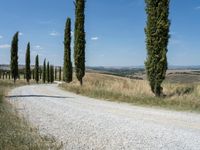 Rural Landscape with Clear Sky in Italy