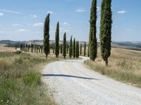 Rural Landscape with Clear Sky in Italy