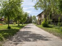 an empty street in the middle of the village with trees lining both sides and houses along the end