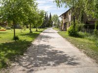 an empty street in the middle of the village with trees lining both sides and houses along the end