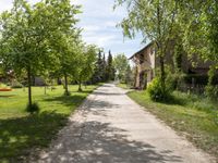 an empty street in the middle of the village with trees lining both sides and houses along the end