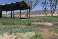 a gazebo is seen on the grass of a ranch land near trees and dirt