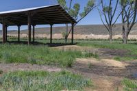 a gazebo is seen on the grass of a ranch land near trees and dirt