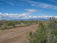 Rural Landscape in Colorado: Dirt, Gravel, and Sand