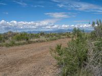 Rural Landscape in Colorado: Dirt, Gravel, and Sand