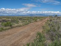 Rural Landscape in Colorado: Dirt, Gravel, and Sand