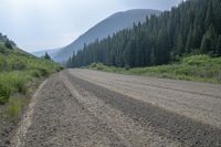 dirt road with trees and mountains in the background on sunny day in montana, u s