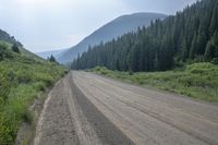 dirt road with trees and mountains in the background on sunny day in montana, u s